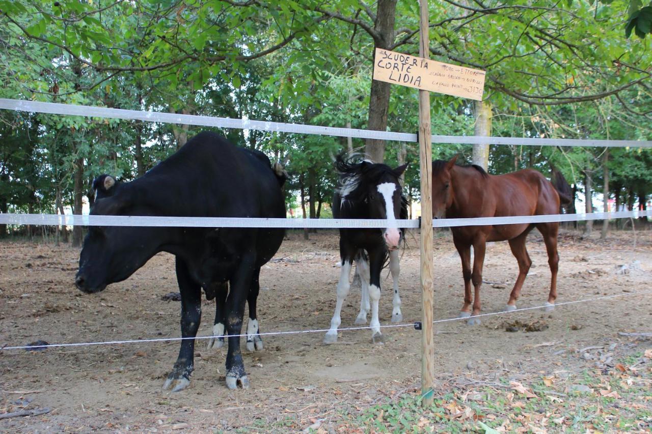 Agriturismo Corte Lidia Bellaguarda ภายนอก รูปภาพ